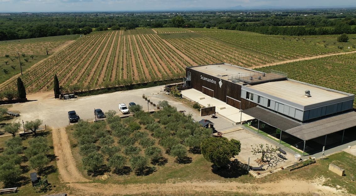 Vignoble Scamandre