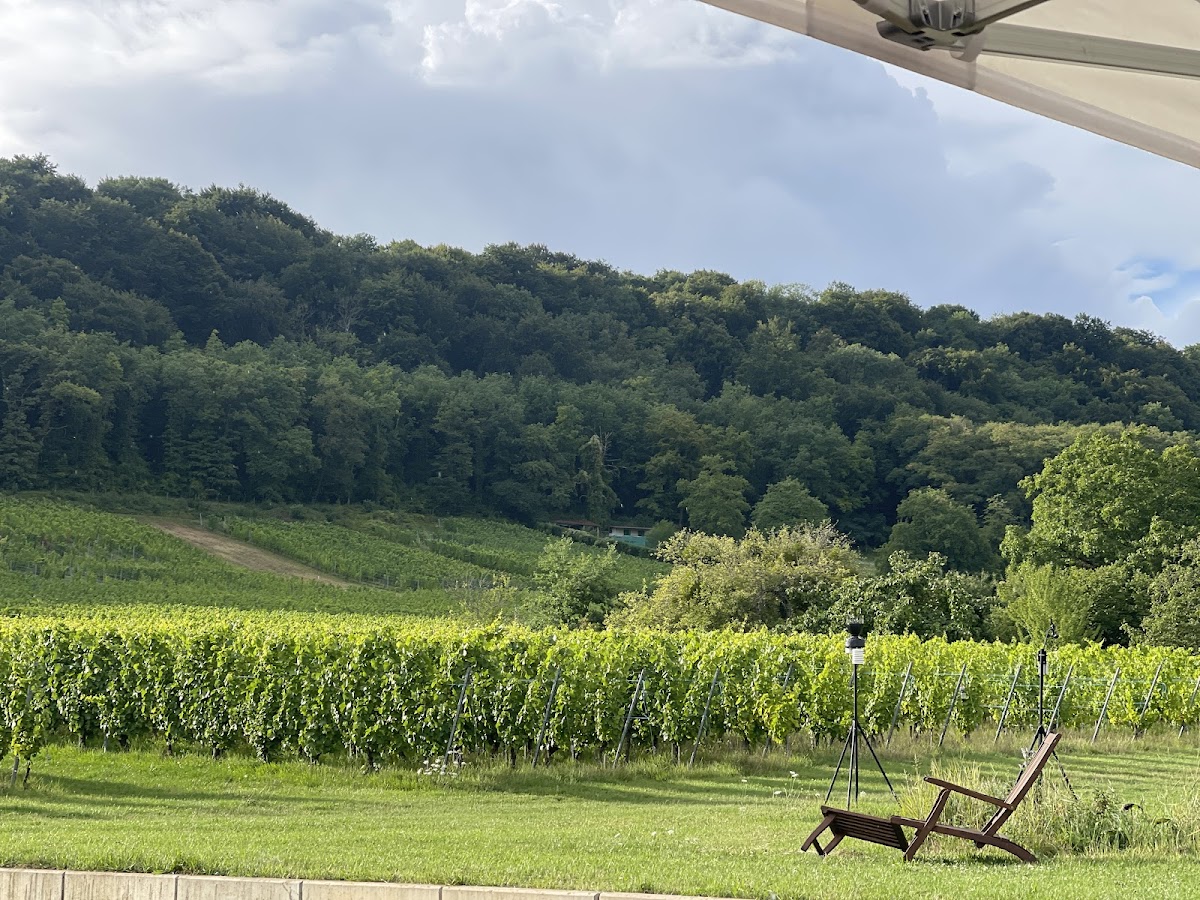 Domaine les Béliers