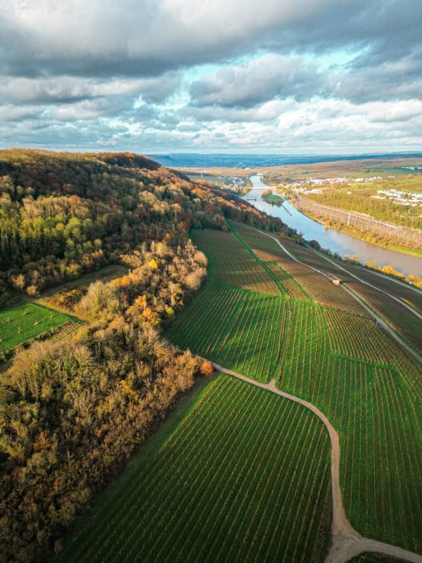 Domaine Florescence