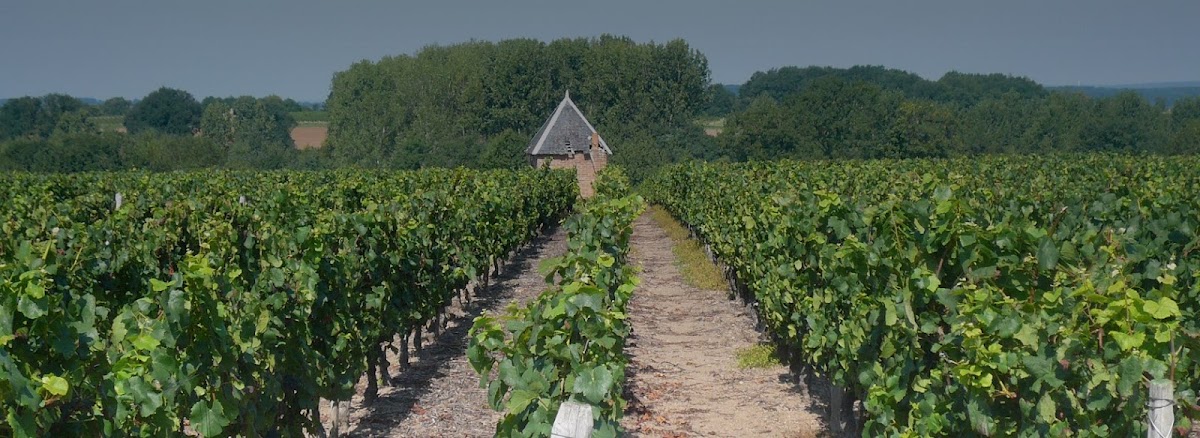 Domaine Nairaud-Suberville
