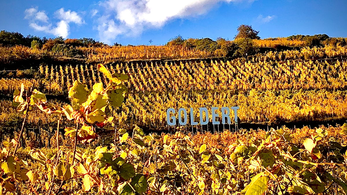 Domaine Bernard Humbrecht