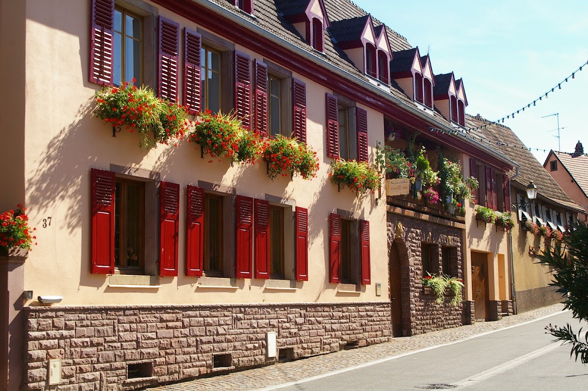 Domaine Stentz  Aimé