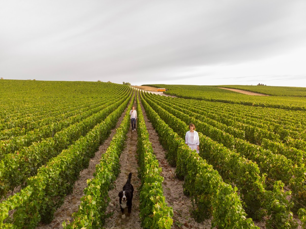 Champagne Antoine Chevalier