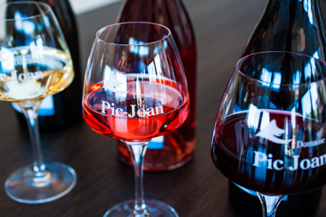 Domaine Pic Joan et Domaine du Mas Blanc