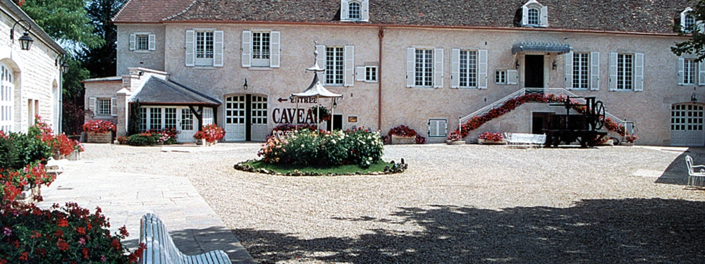 Delagrange Philippe Vins Fins — vignoble à Beaune