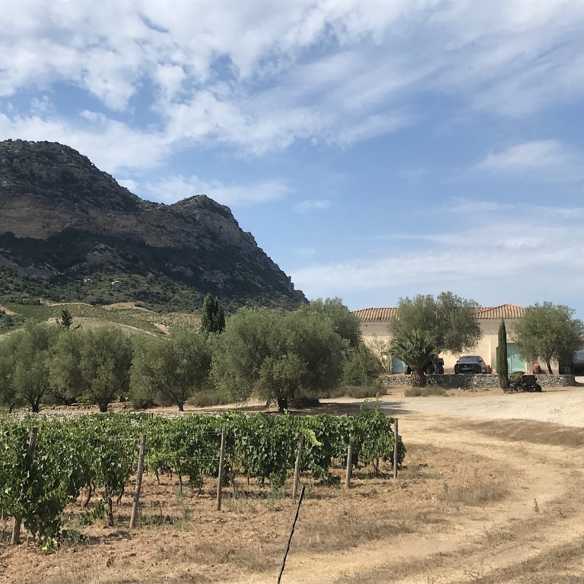 Domaine Leccia