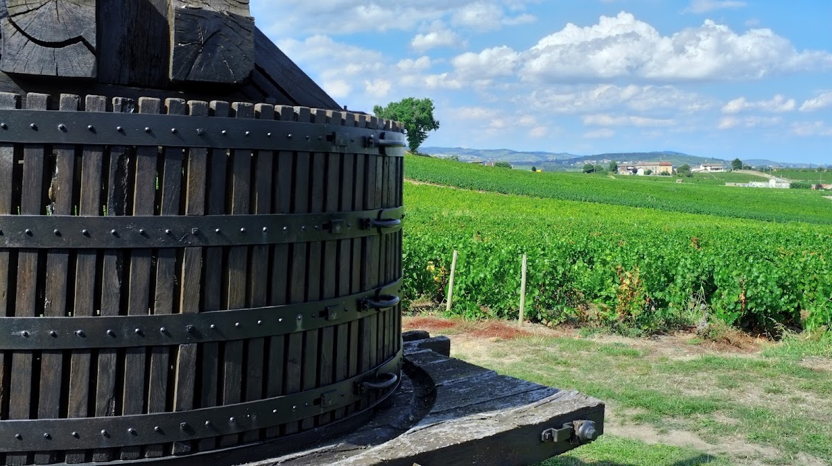 Domaine des Fournelles