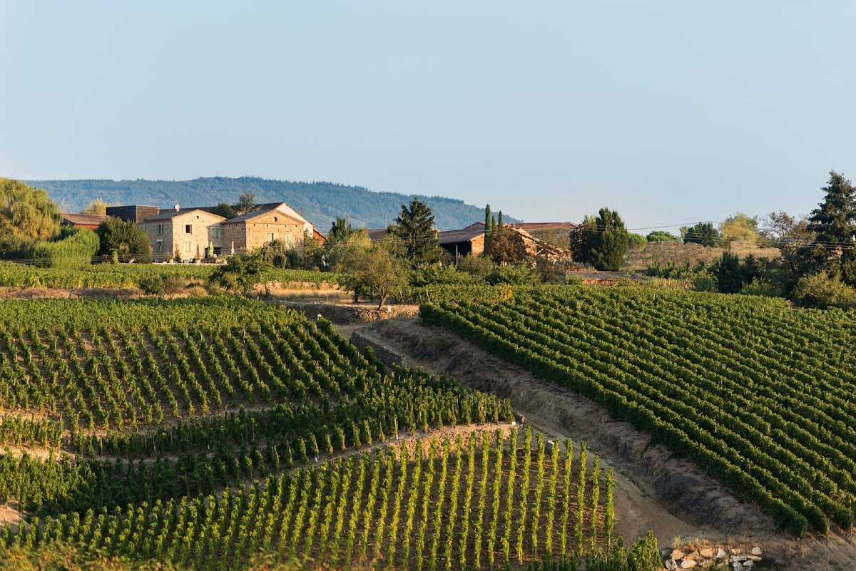 Domaine Pierre Gaillard