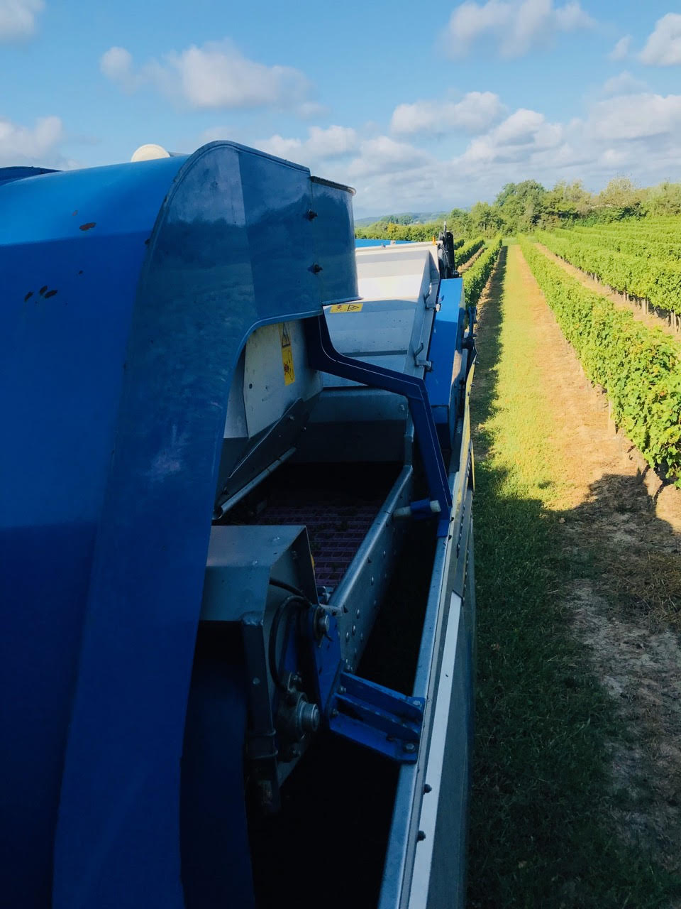 Vignobles Lumeau