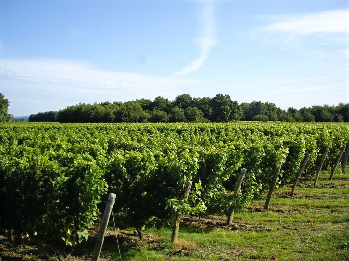 Domaine de Villalin