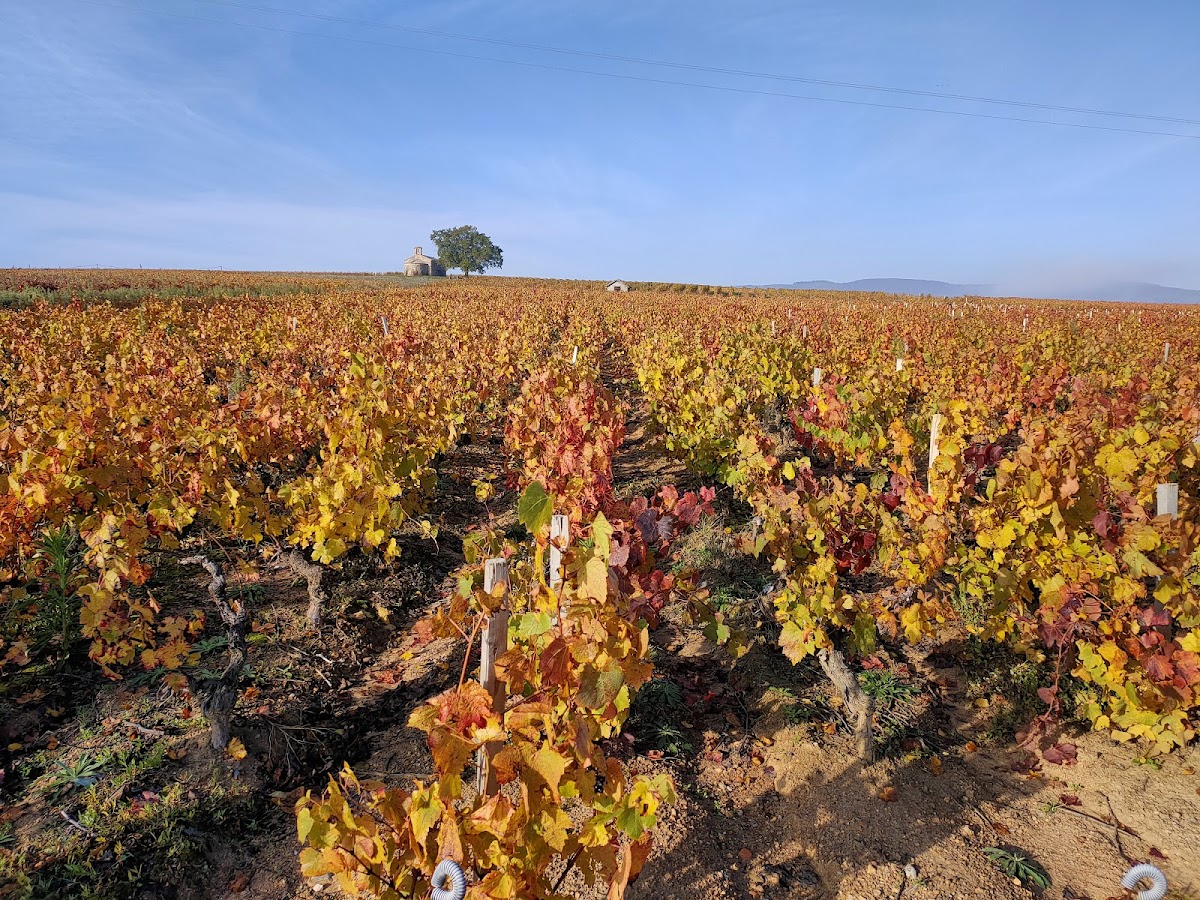 Domaine Chavrier