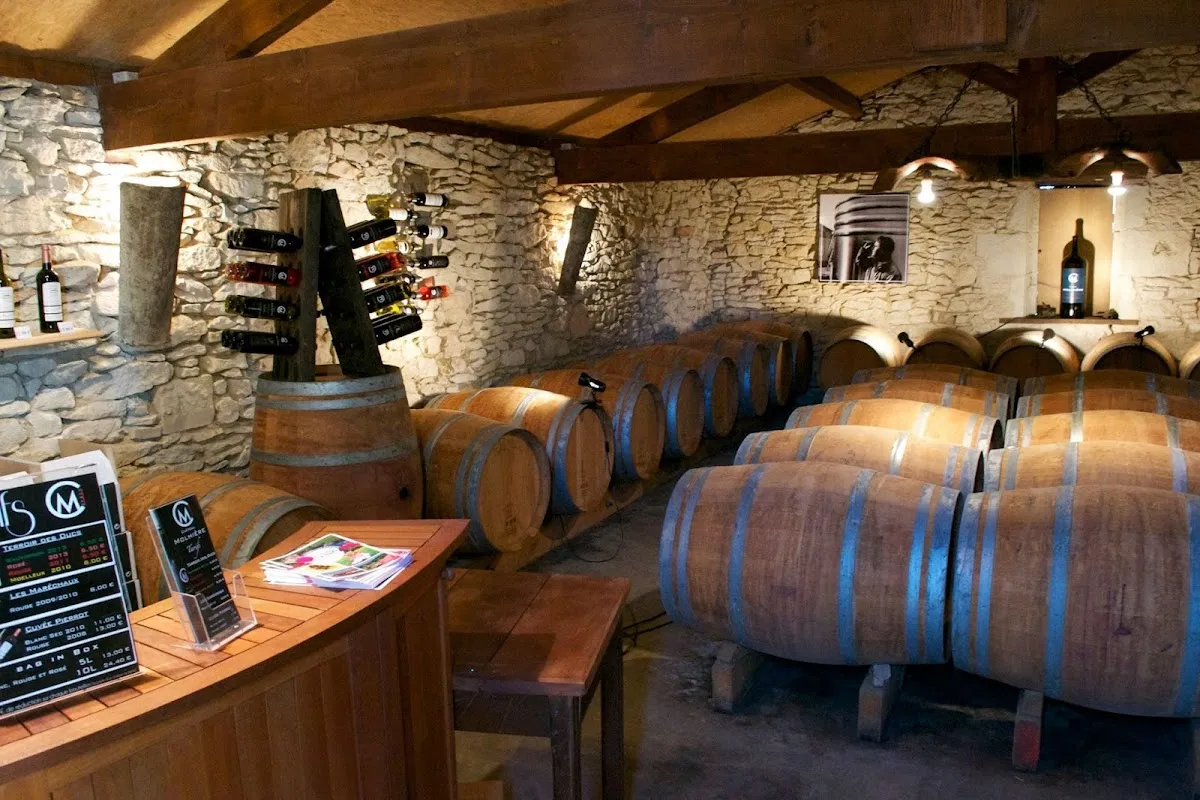 Château Molhière — vignoble à Duras