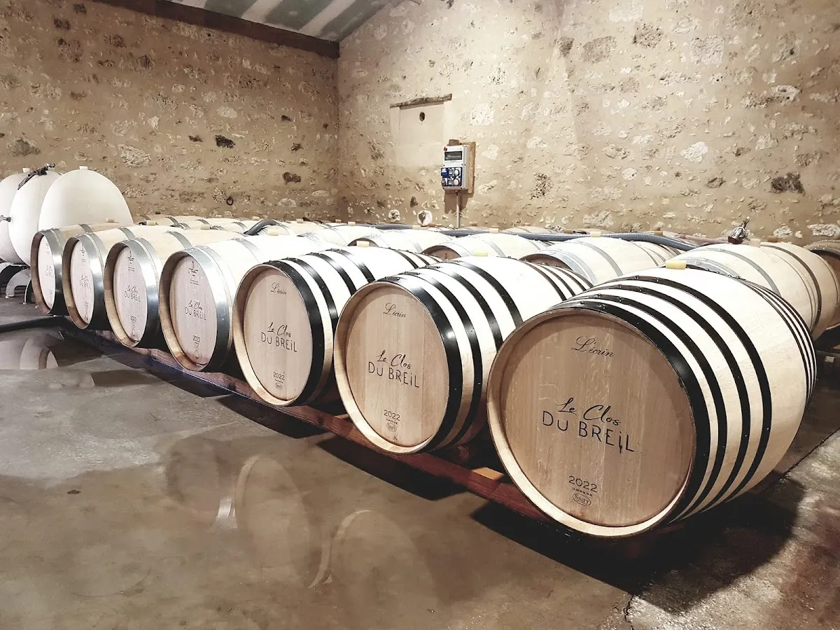 Le Clos du Breil — vignoble à Saint-Léon-d'Issigeac