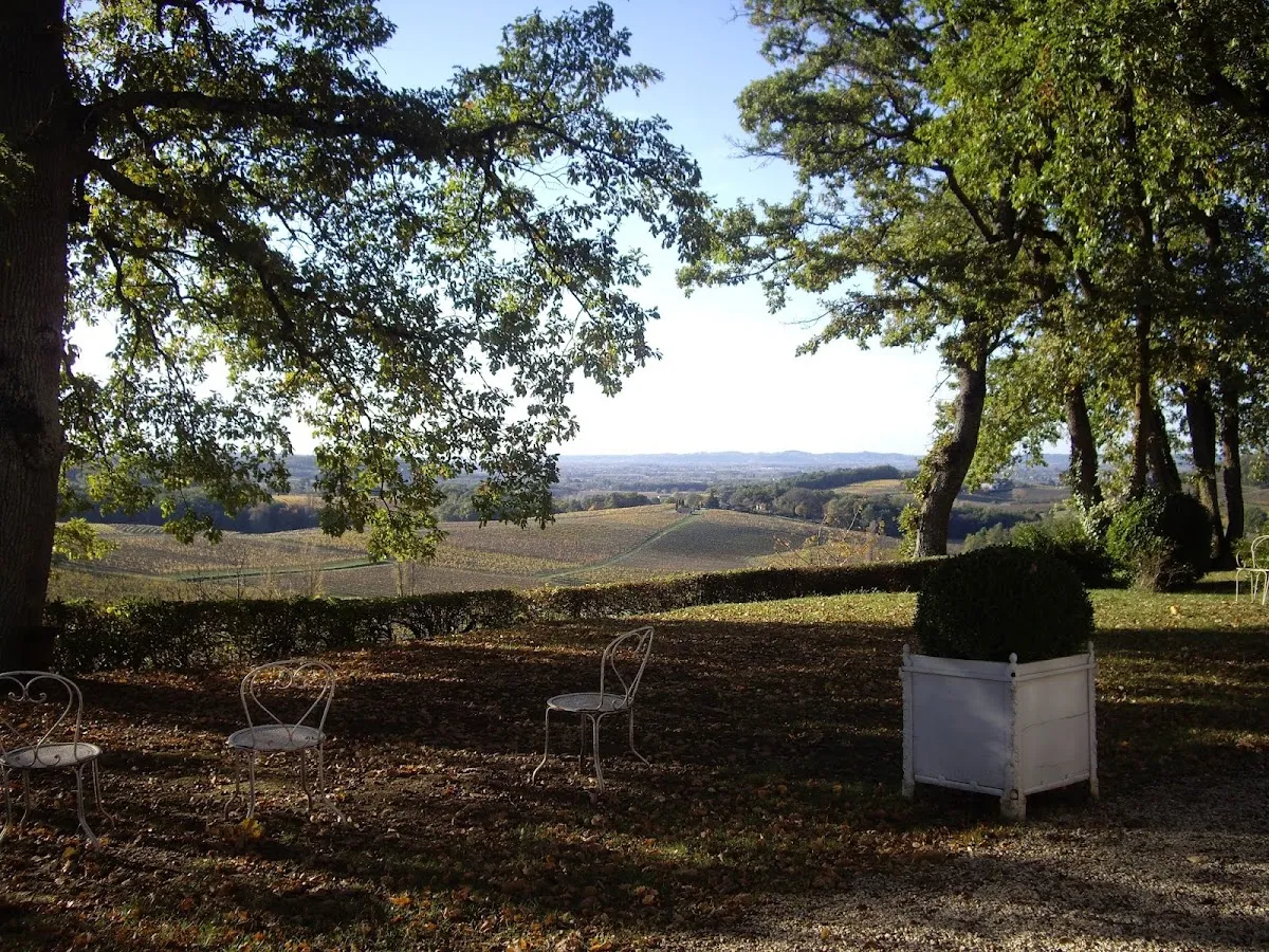 Château Bélingard Scea — vignoble à Pomport