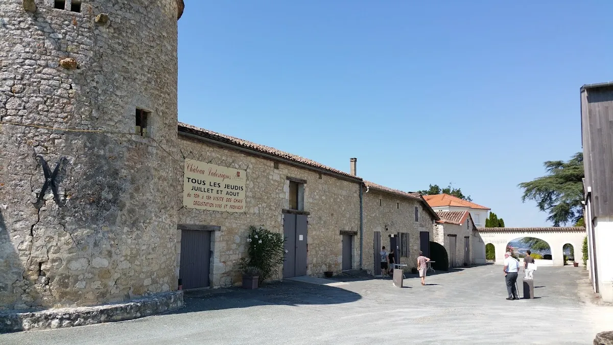 Château Ladesvignes — vignoble à Pomport