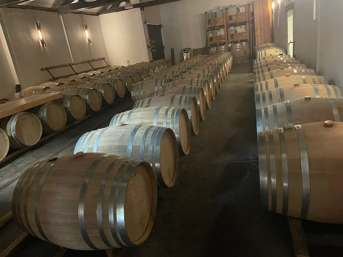 Château du Rooy — vignoble à Bergerac