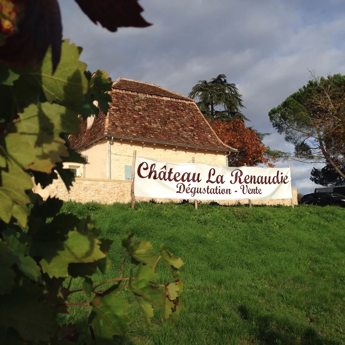 Château la Renaudie — vignoble à Lembras