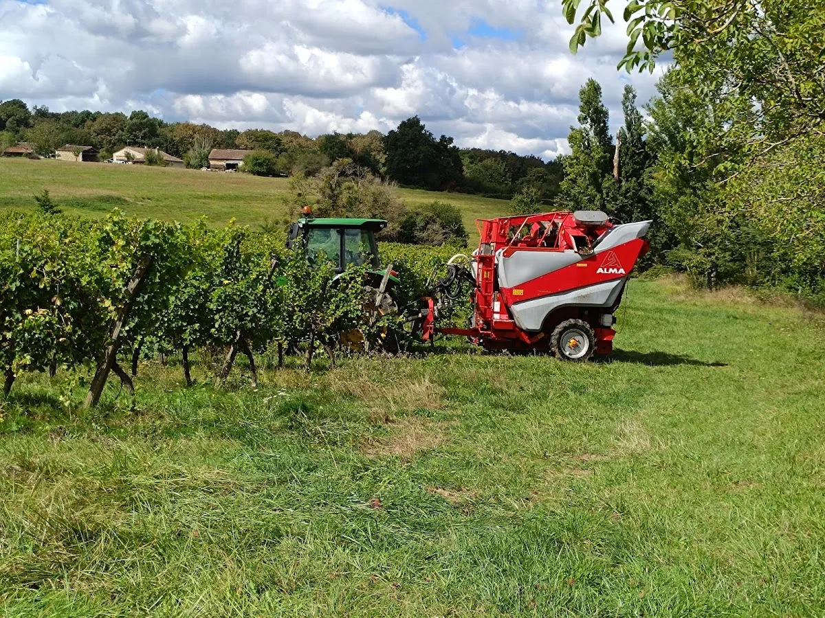 Château les Saints-Amants — vignoble à Saint-Julien-Innocence-Eulalie