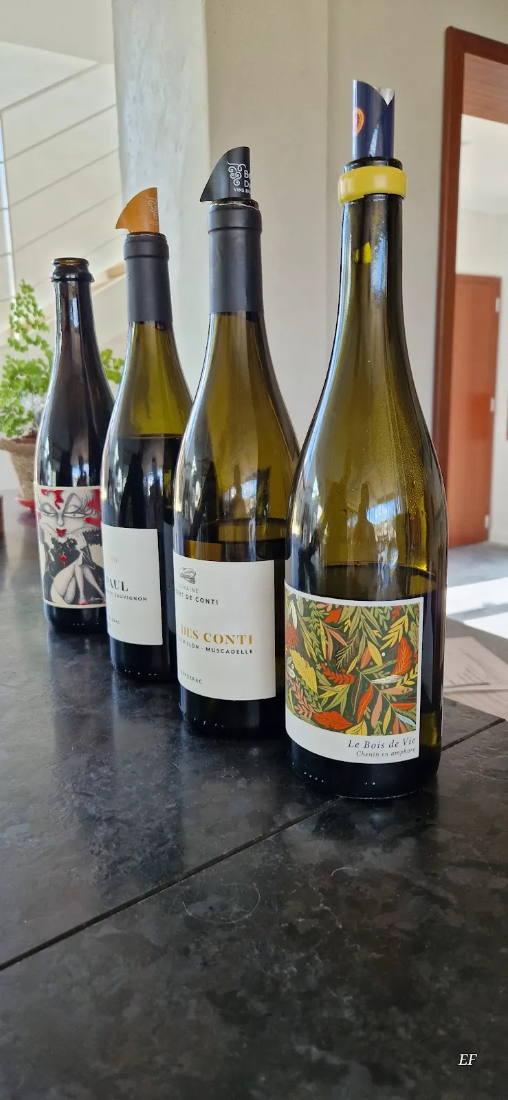 Domaine Albert de Conti — vignoble à Saint-Julien-Innocence-Eulalie