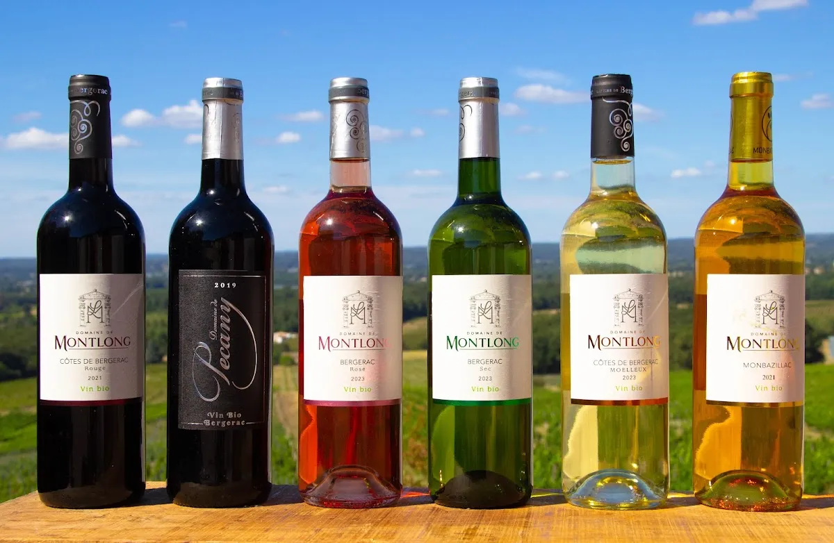 Domaine de Montlong — vignoble à Pomport