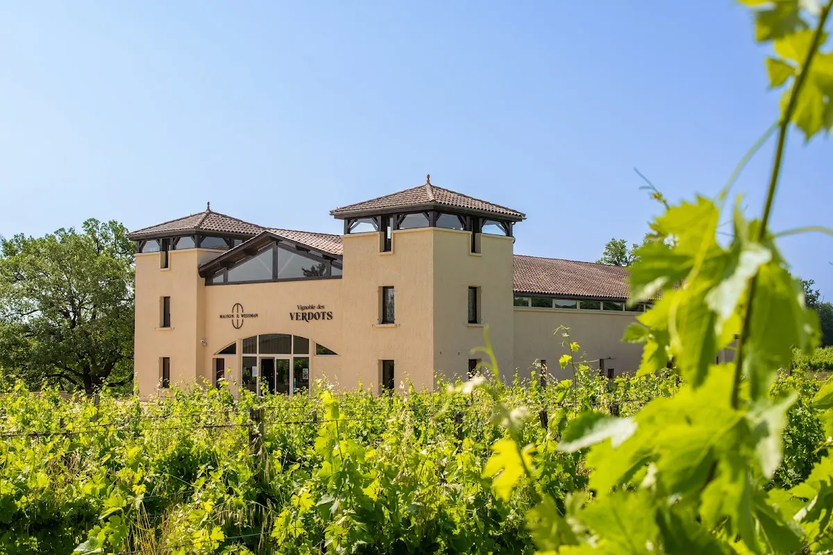 Vignoble des Verdots — vignoble à Conne-de-Labarde