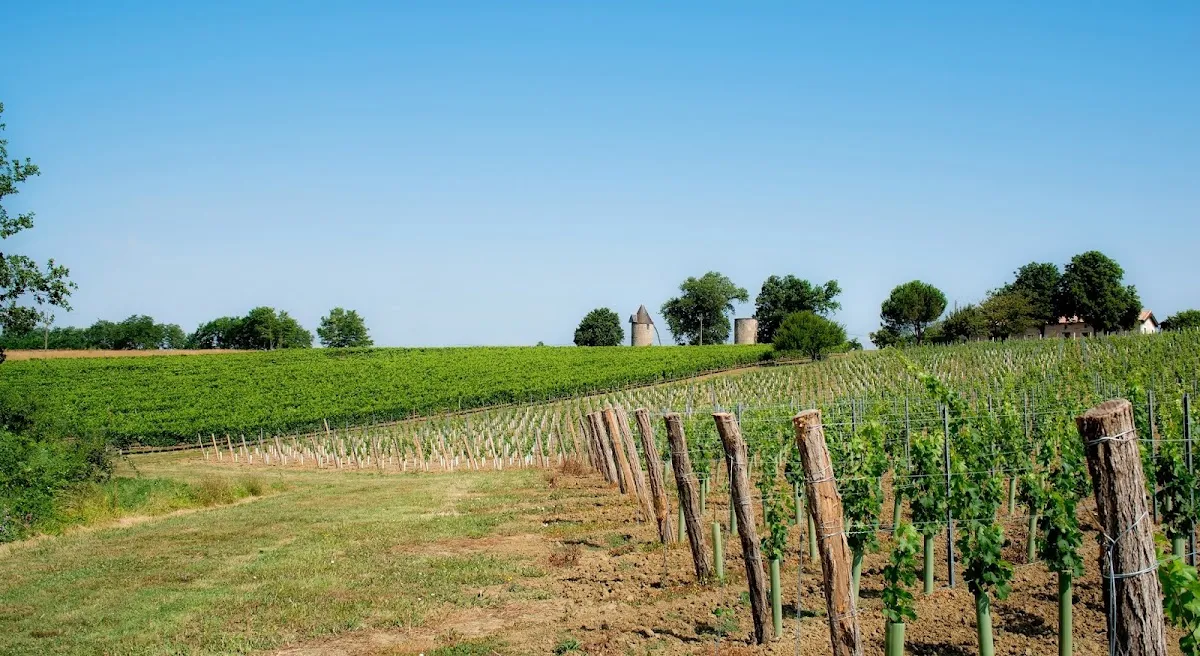 Vignobles Dubard — vignoble à Saint-Méard-de-Gurçon
