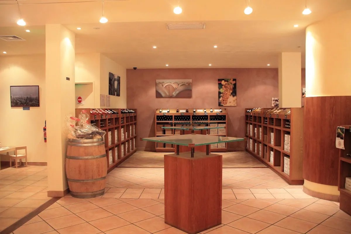 Clos de la Voie Romaine — vignoble à Sigoulès-et-Flaugeac