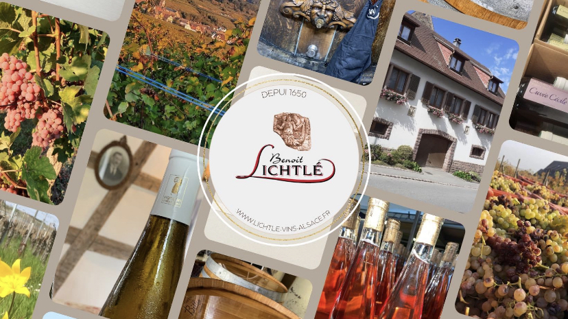 Vins Lichtle Benoît — vignoble à Gueberschwihr