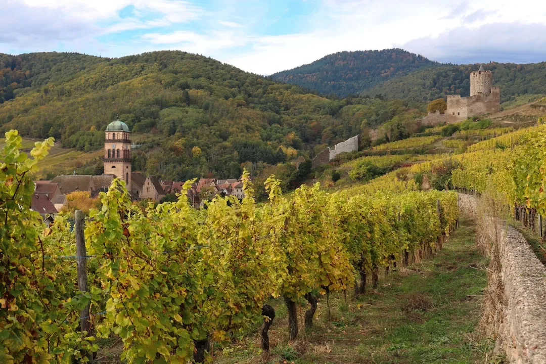 Alsace en cabriolet : la Route des Vins à ciel ouvert