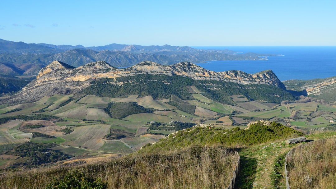 Patrimonio : les sublimes vins corses qui envoûtent le Cap