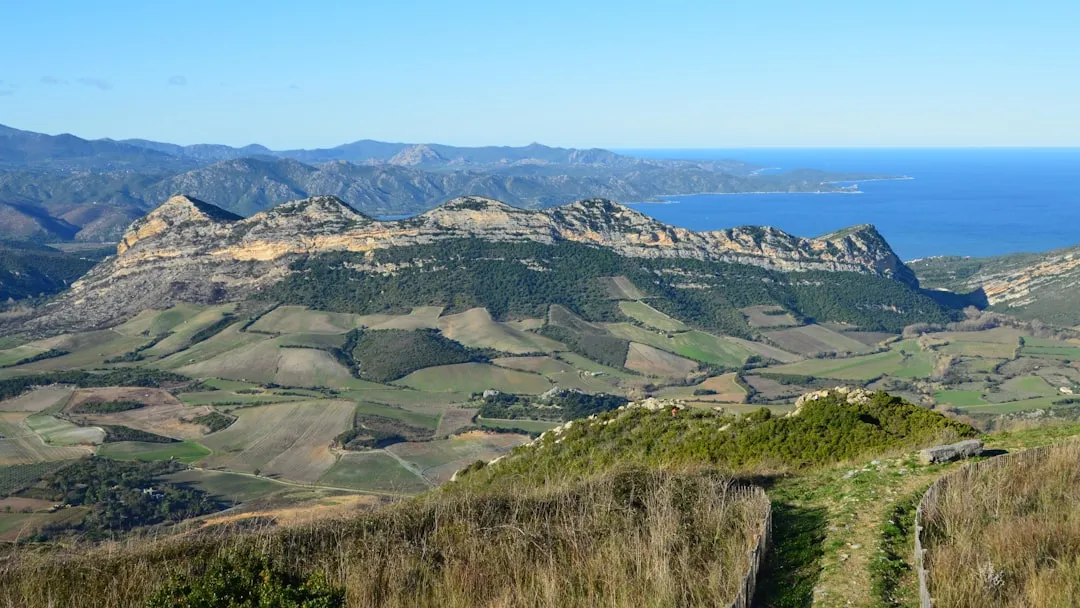 Patrimonio : les sublimes vins corses qui envoûtent le Cap