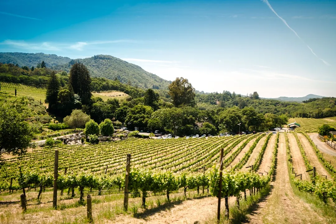 Savoie viticole : l'échappée alpine entre lacs et vignes en altitude