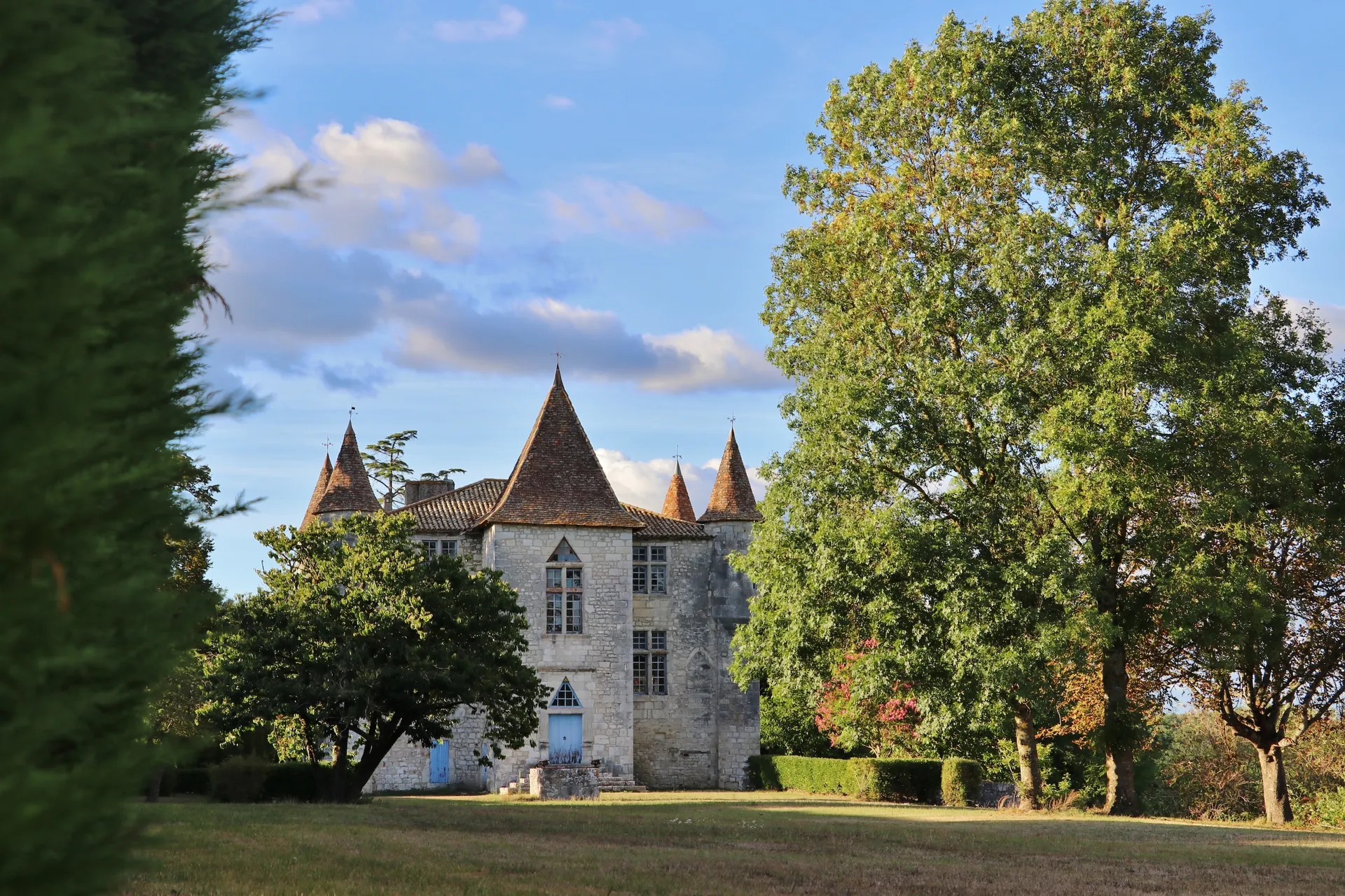 Château de Panisseau — vignoble à Thénac