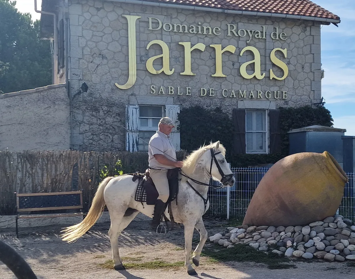 Affiche de l’événement Visite en petit train du Domaine avec démonstration du tri des taureaux par les gardians à cheval