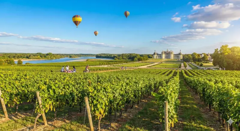 Un Vin, une Rencontre