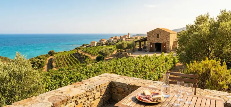 Domaine Sant'Antonu