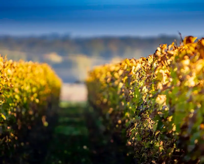 Domaine des Princes