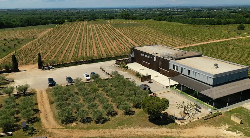 Vignoble Scamandre