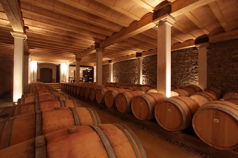 Château Saint Jacques D'albas