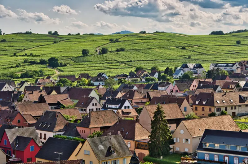 Domaine Greiner-Schleret