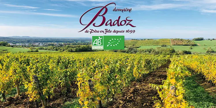 Domaine Benoît Badoz