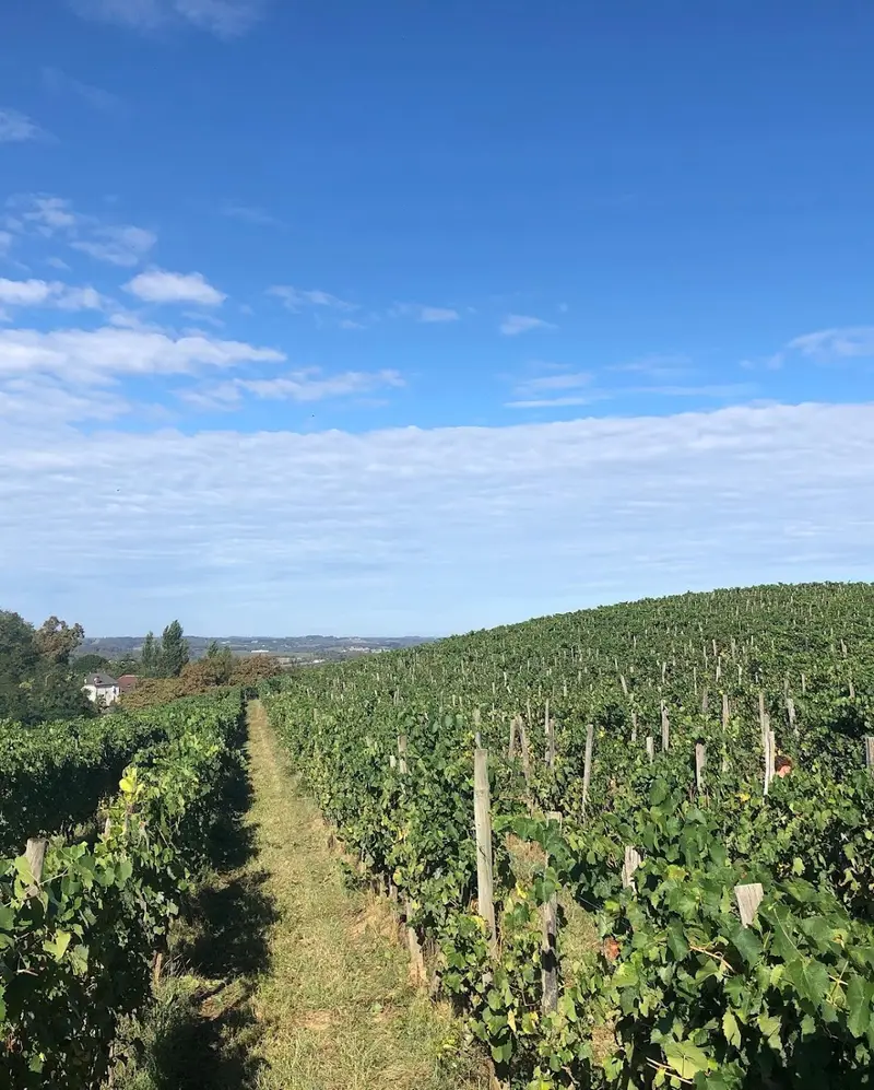 Domaine Nomboly-Traydou