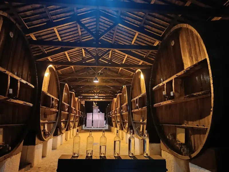 Domaine Royal de Jarras