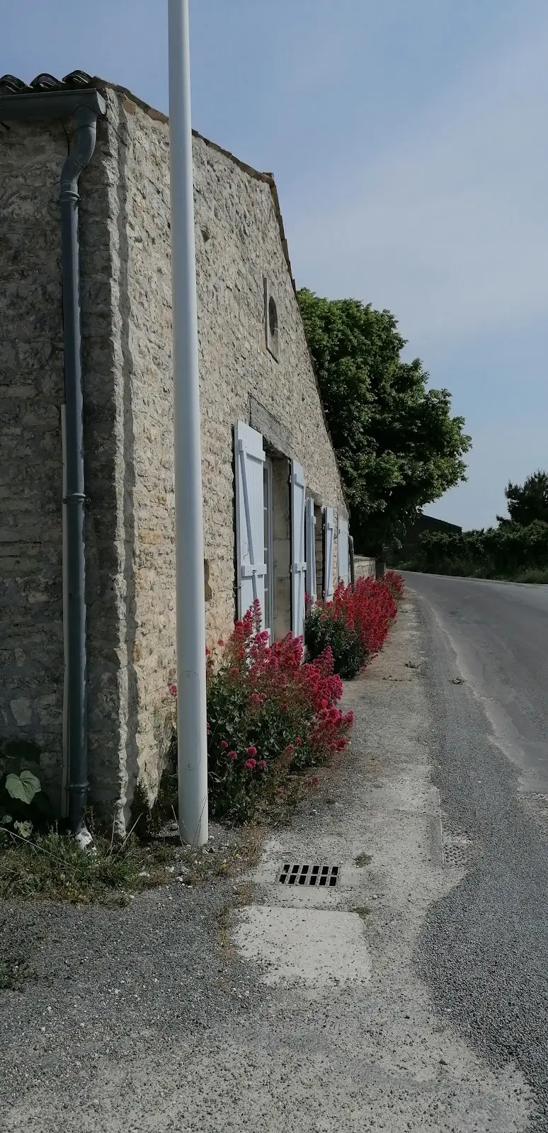 Vignoble Coulon & Fils