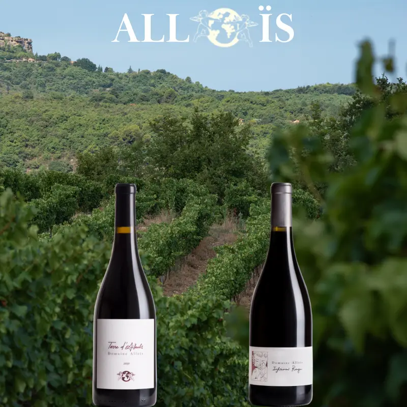 Domaine Alloïs