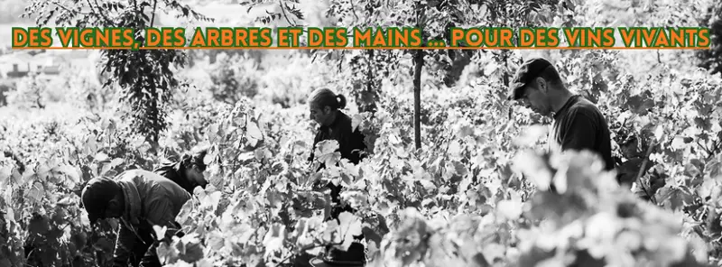 Domaine Enivrance