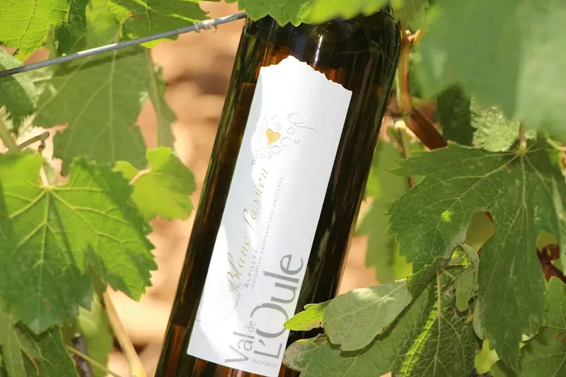 Domaine du Val de L'oule