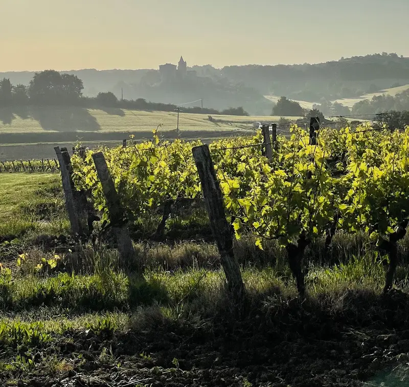 Domaine Encapette