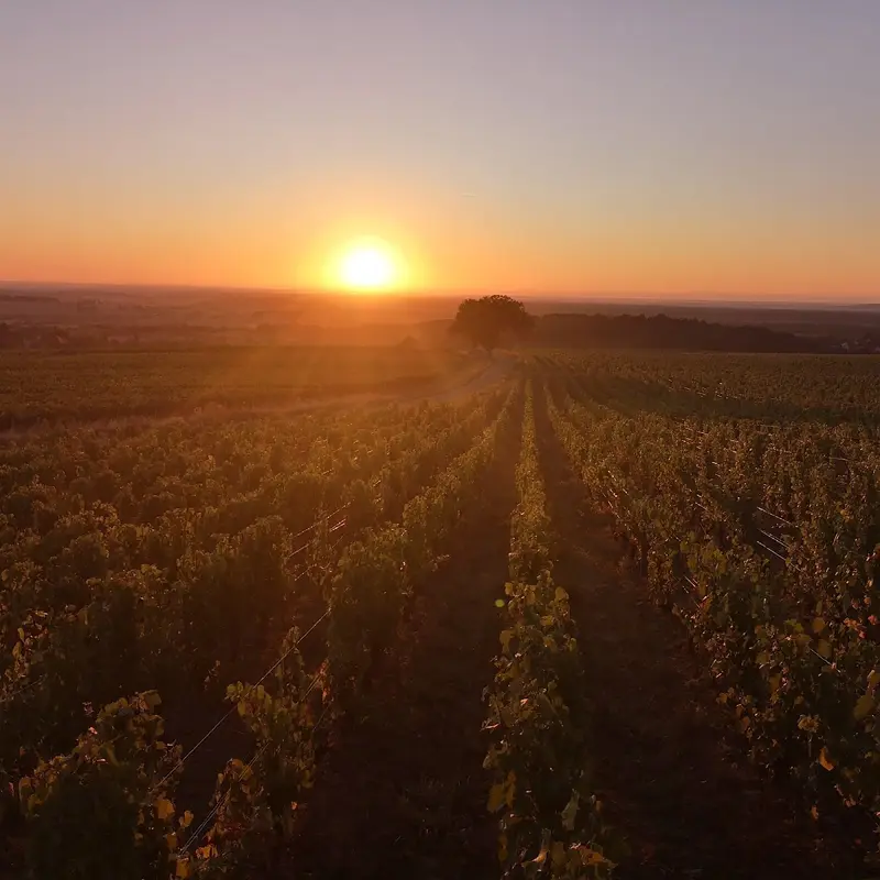 Domaine de Montorge