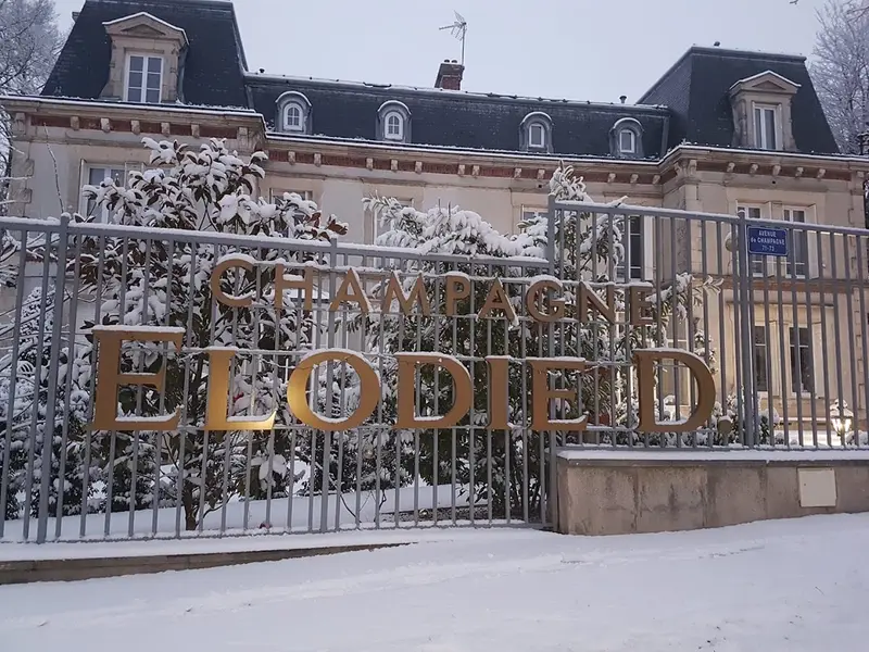 Champagne Elodie D.
